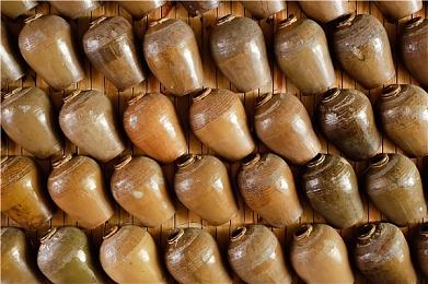 类宝可梦新作《Nexomon 3》公布 Steam页面上线