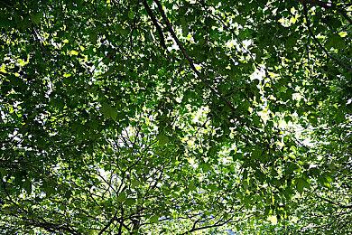 《地球防卫军6》新情报 体型超巨大怪兽塞壬现身